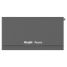 RG-EG210G-P-V3