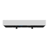 RG-AP820-L(V2)