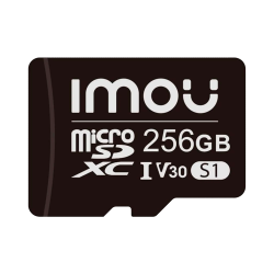 Carte mémoire Micro SD classe 10 256GB